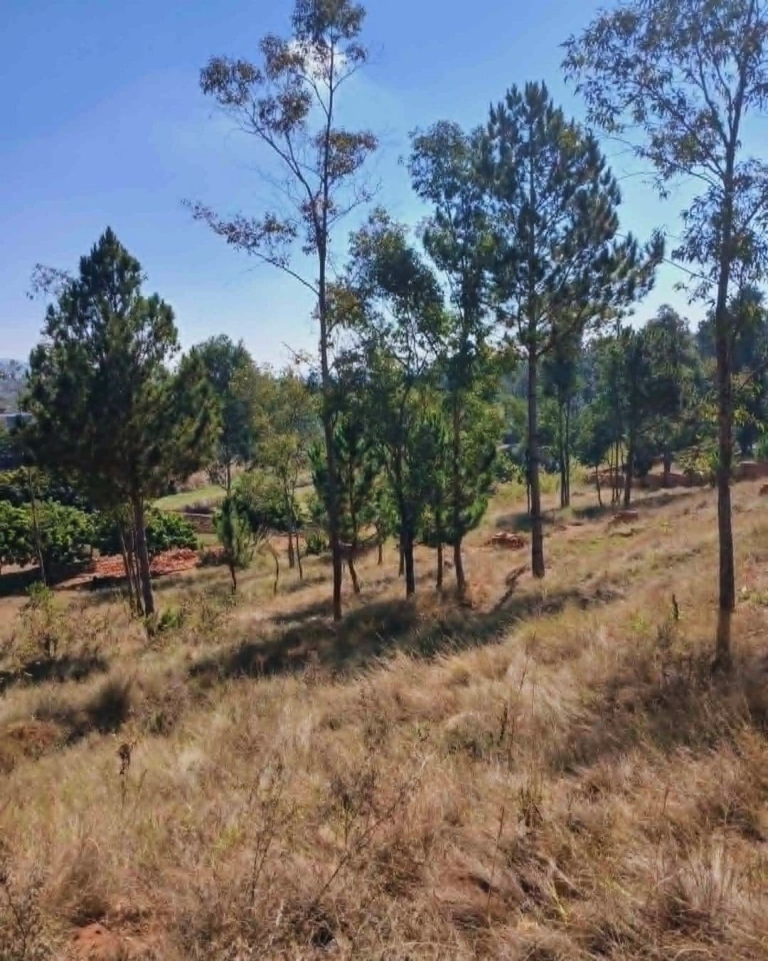 Terrain d’exception 2 000 m² – Bord de route pavée à Vontovorona — photo 1